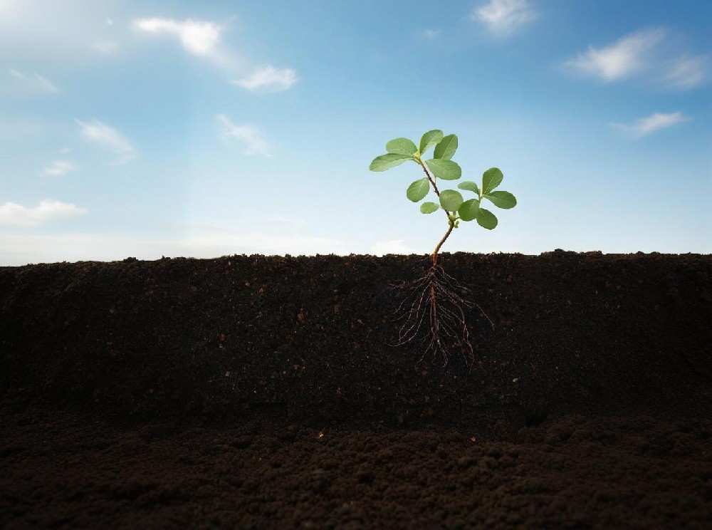 �����h(hu��n)���z�y��(sh��)�(y��n)�ҷ���